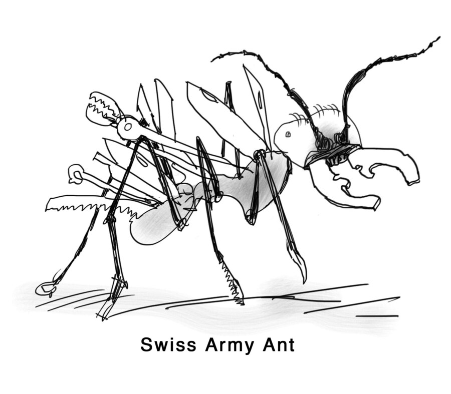 Swiss Army Ant